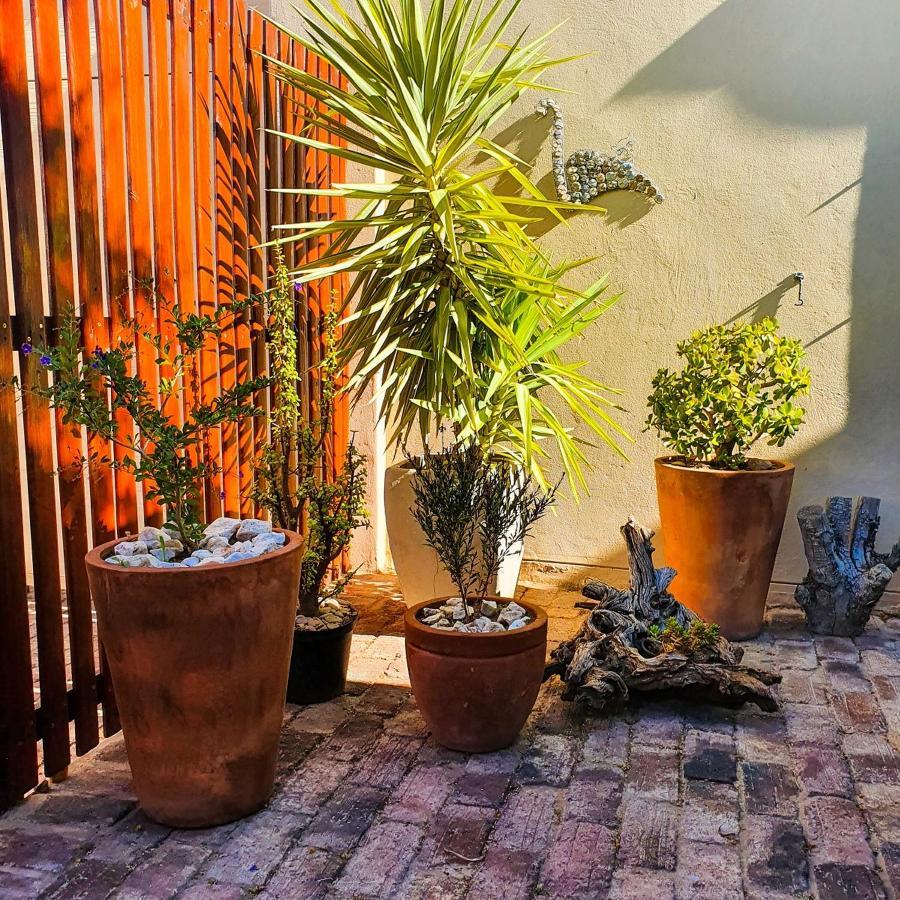 Koppie Cottage برنس ألبرت المظهر الخارجي الصورة
